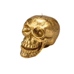 Schedel- Doodshoofd- skull Brons